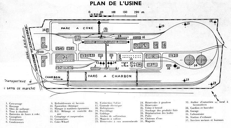Plan de l'usine.- Plan, extrait de La Revue de Rouen, 1953, n°3, p. 11 (B.M. Rouen).