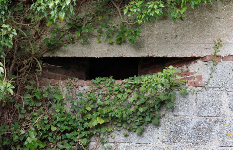 Bâtiment 1, détail de l'embrasure de défense rapprochée.