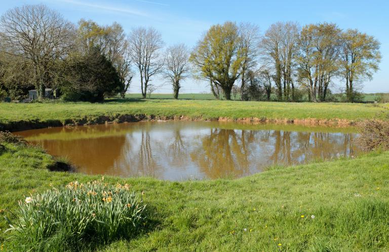 Ferme des Bourits ou du Quesney, actuellement ferme du Mont Rachet