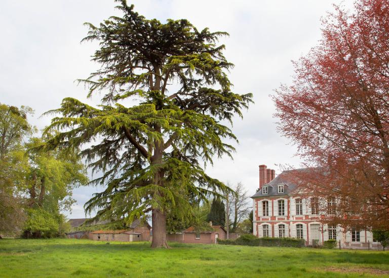 Vue d'ensemble de l'arrière de la propriété avec cèdre au premier plan. 
