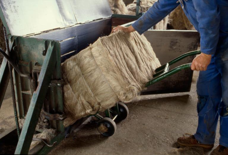 Pressage pour le conditinnement de la filasse en balles de 100 kg (PNRBSN).