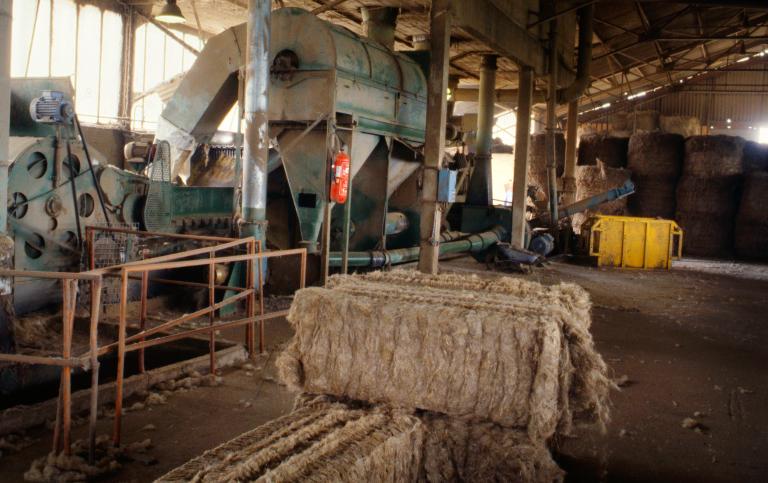 Vue générale de l'atelier d'égrenage (PNRBSN).