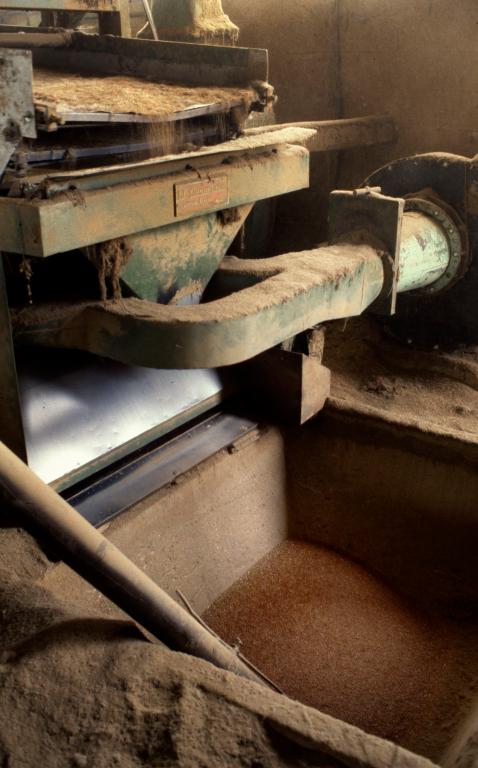 Egrenage du lin, récupération des graines (PNRBSN).