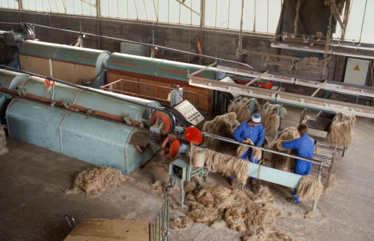 Battage du lin, extraction des fibres longues dites filasses (PNRBSN).