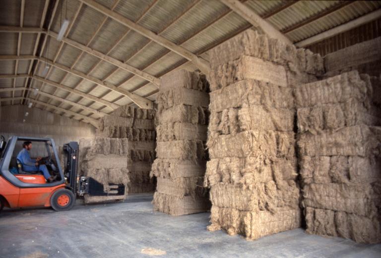 Entrepôt servant au stockage des balles de lin avant teillage (PRNBSN).