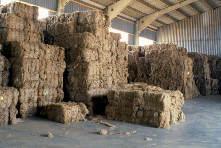 Entrepôt servant au stockage des balles de lin avant teillage (PRNBSN).