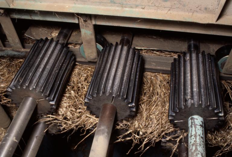 Broyage des tiges de lin, détail du broyeur, cylindres cannelés à grosse denturs (PNRBSN).