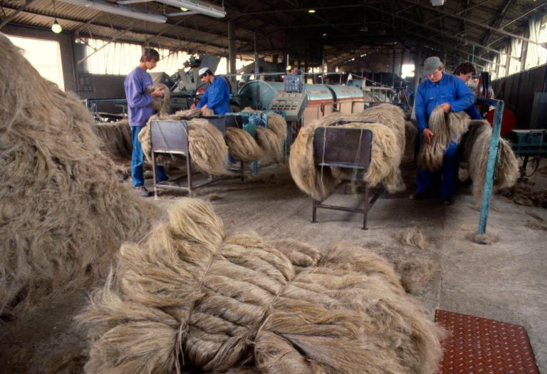 Atelier d'écangage, vue générale (PNRBSN).