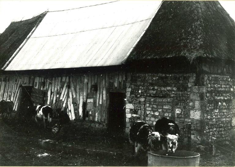 Etable (détruite, ZB3).- Photographie du Parc de Brotonne, 1971. 