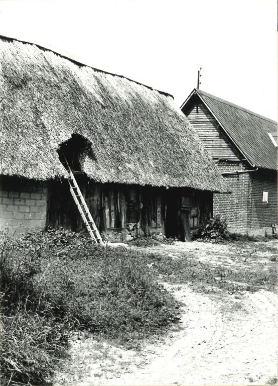 Ferme (détruite, AB70).- Photographie du Parc de Brotonne, 1971. 