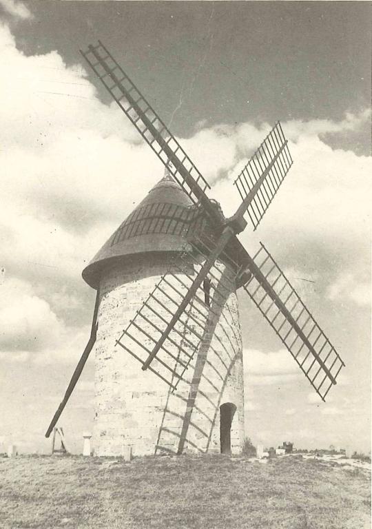 Vue après restauration, sans ses voiles.- Photographie du Parc de Brotonne (Collection Alain Joubert). 