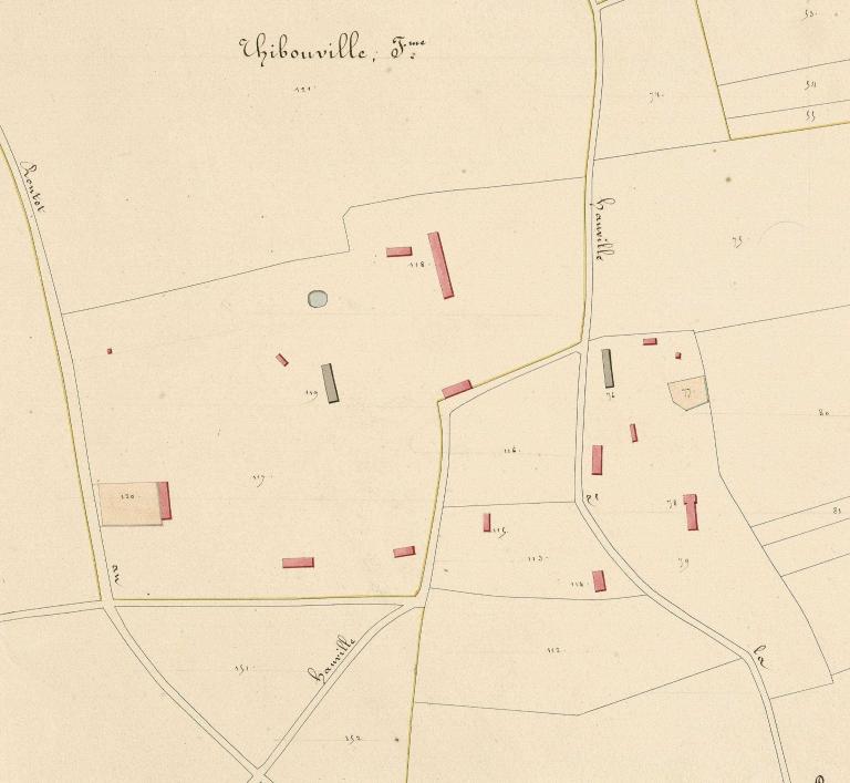Thibouville.- Extrait du cadastre napoléonien de Hauville, section E, 1826. 