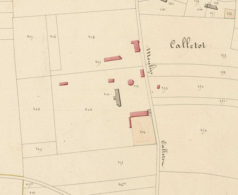 Calletot.- Extrait du cadastre napoléonien de Hauville, section I, 1826. 