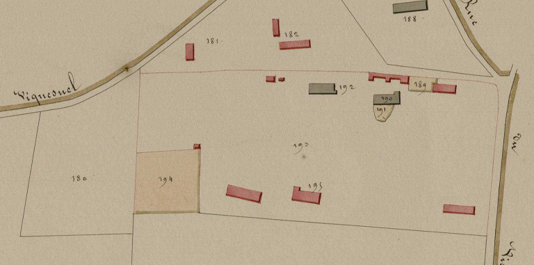 hameau du Viquesnel.- Extrait du cadastre napoléonien. (AD Eure. 3PL/958/8, plan cadastral, Routot, section D du Romois, 1826).
