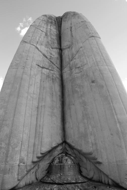 Face postérieure, détail des ailes de la Victoire.- Photographie, 2016.