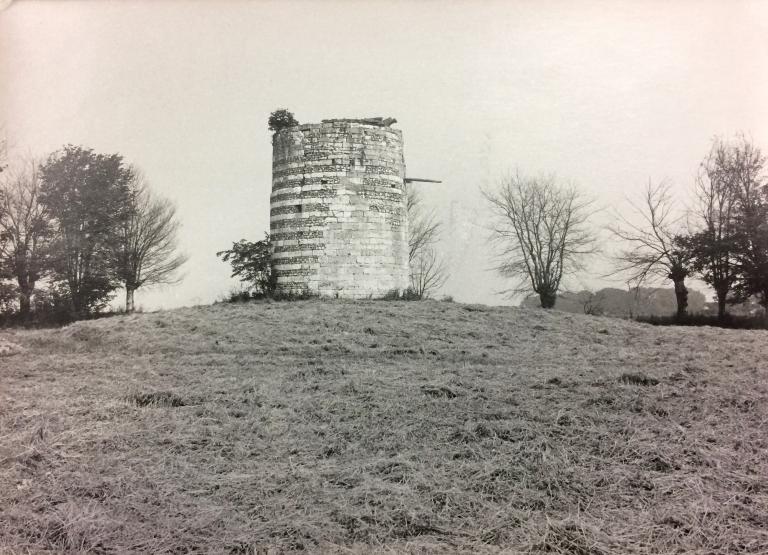 Vue du moulin.- Photographie, Parc de Brotonne, 1971.