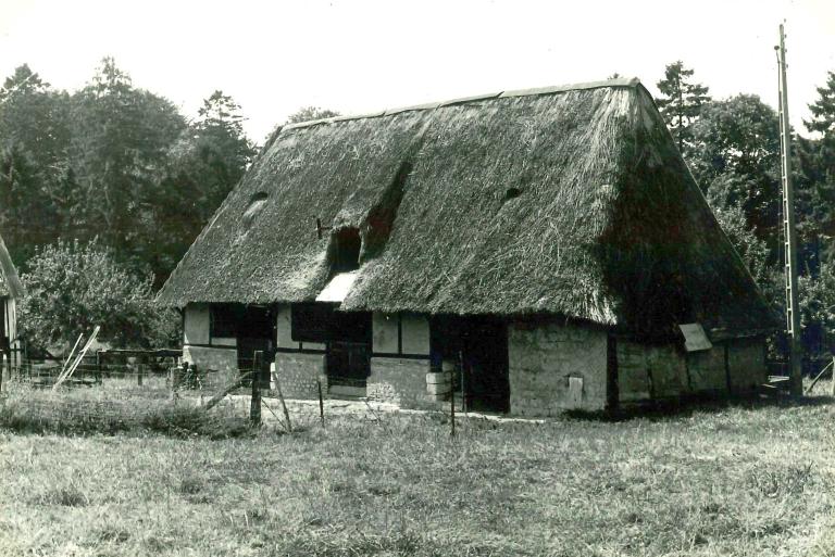 Porcherie.- Photographie du Parc de Brotonne, 1971. 