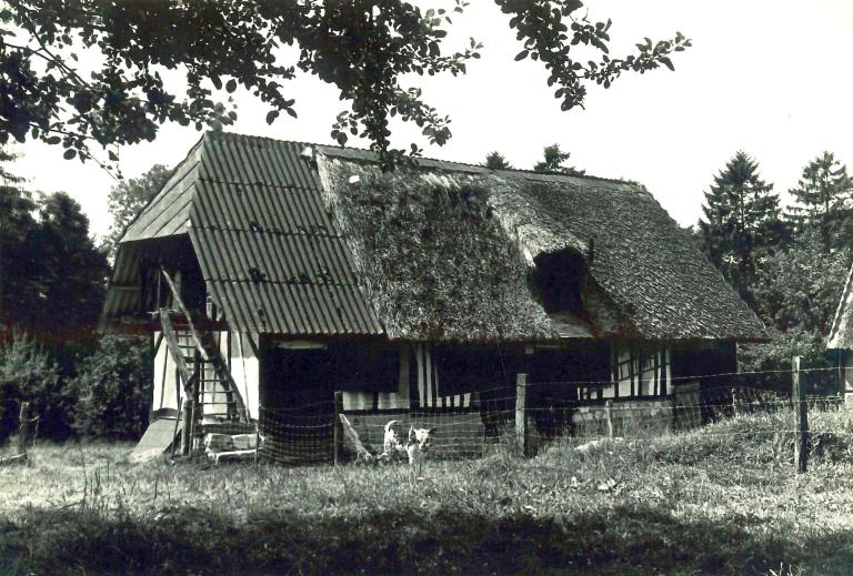 Etable.- Photographie du Parc de Brotonne, 1971. 