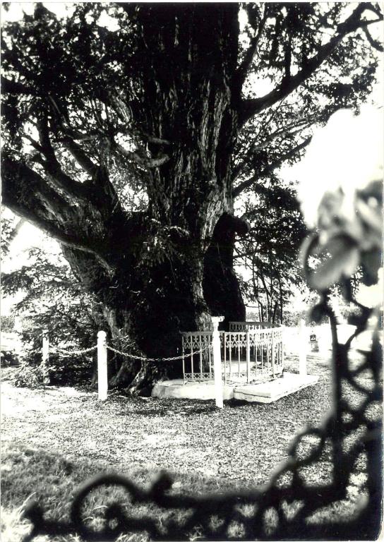 If ouest, oratoire Notre-Dame.- Photographie du Parc de Brotonne, 1971. 