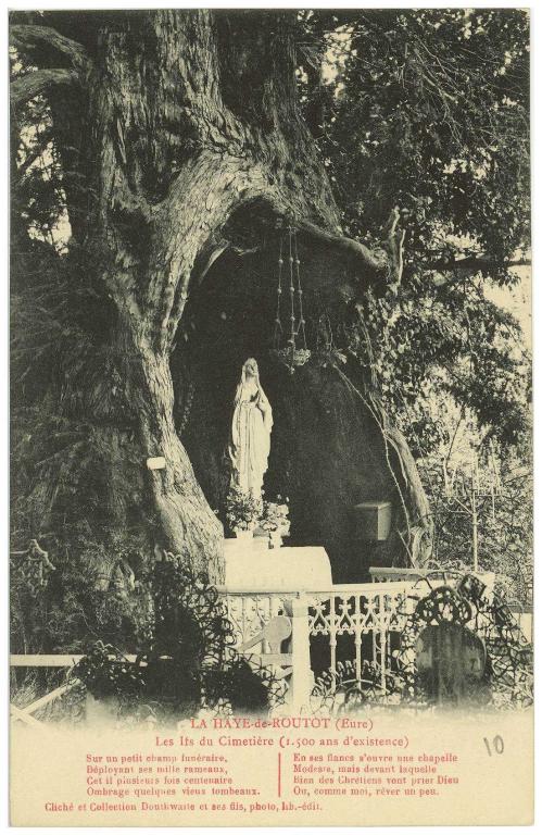 LA HAYE DE ROUTOT (Eure).- Les Ifs du cimetière (1 500 ans d'existence), cliché et collection Douthwaite et ses fils, photo, lib-édit. (AD Eure, 8 FI).