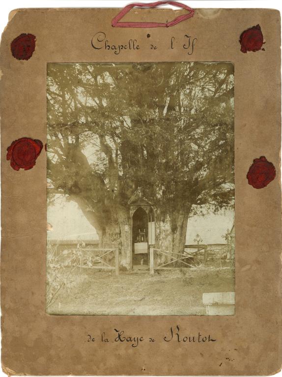 Chapelle de l'If de La Haye-de-Routot.- Photographie ancienne (Collection particulière). 