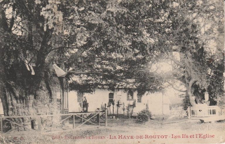 569.- ENVIRONS DE ROUEN - LA HAYE DE ROUTOT - Les Ifs et l'Église.- Carte postale [vers 1900], ED (Collection particulière). 