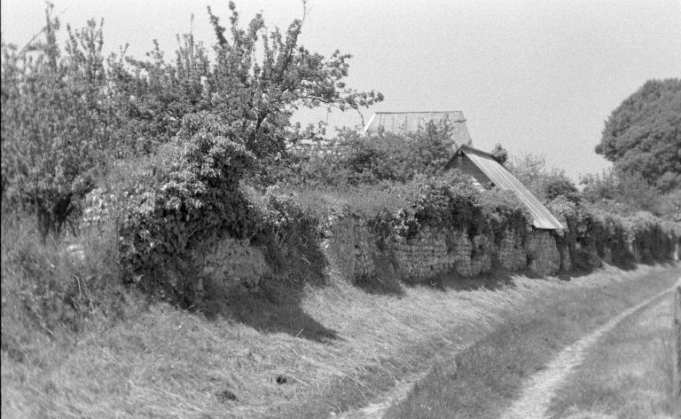 Mur de clôture.- Photographie du Parc de Brotonne, 1971. 