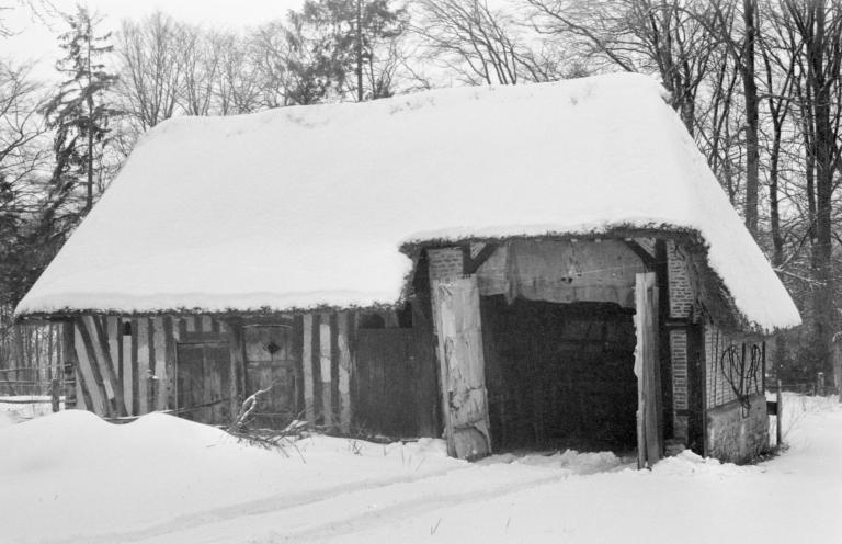 Remise ou bucher, en hiver.- Photographie du Parc de Brotonne, 1971. 