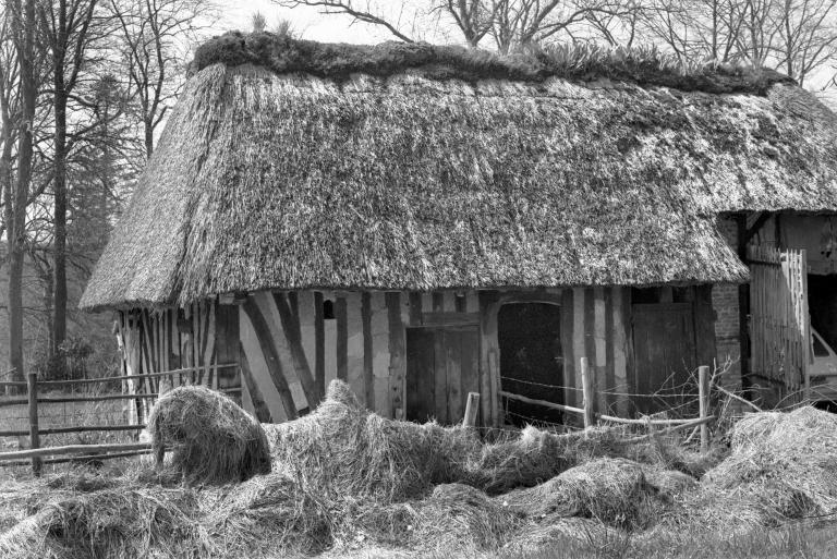 Remise ou bucher, vue rapprochée.- Photographie du Parc de Brotonne, 1971. 