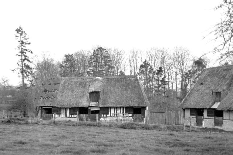 Ancienne étable.- Photographie du Parc de Brotonne, 1971. 