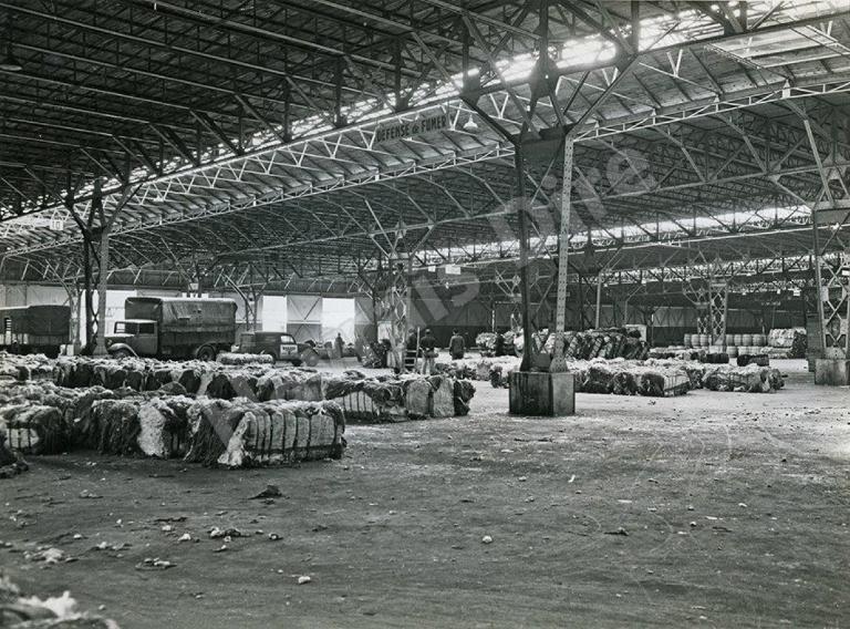 Elevation intérieure du hangar 81, échantillonnage du coton.- Photographie, sans date, Tiré de : Le conton au Havre/Havrais dire, 2016.