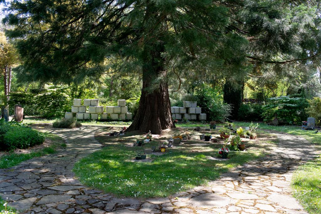 Vue de l'espace paysager du cimetière Nord-Est.  ; Columbarium de 1983 (carré K), dans son environnement.  ; Espace paysager (carré K) : columbarium et "jardin des urnes" autour du séquoia. 