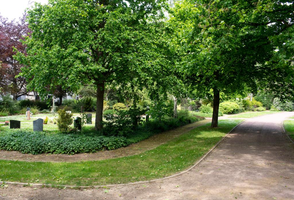 Espace paysager (carré L) : allée et chemin d'accès. 