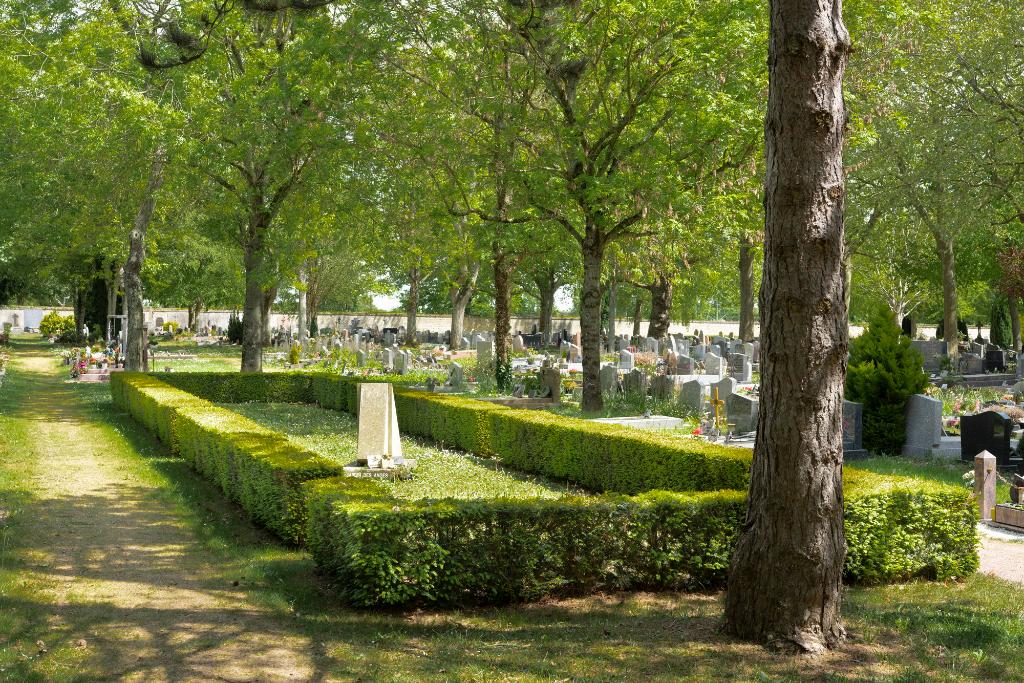 Jardin des anges. 