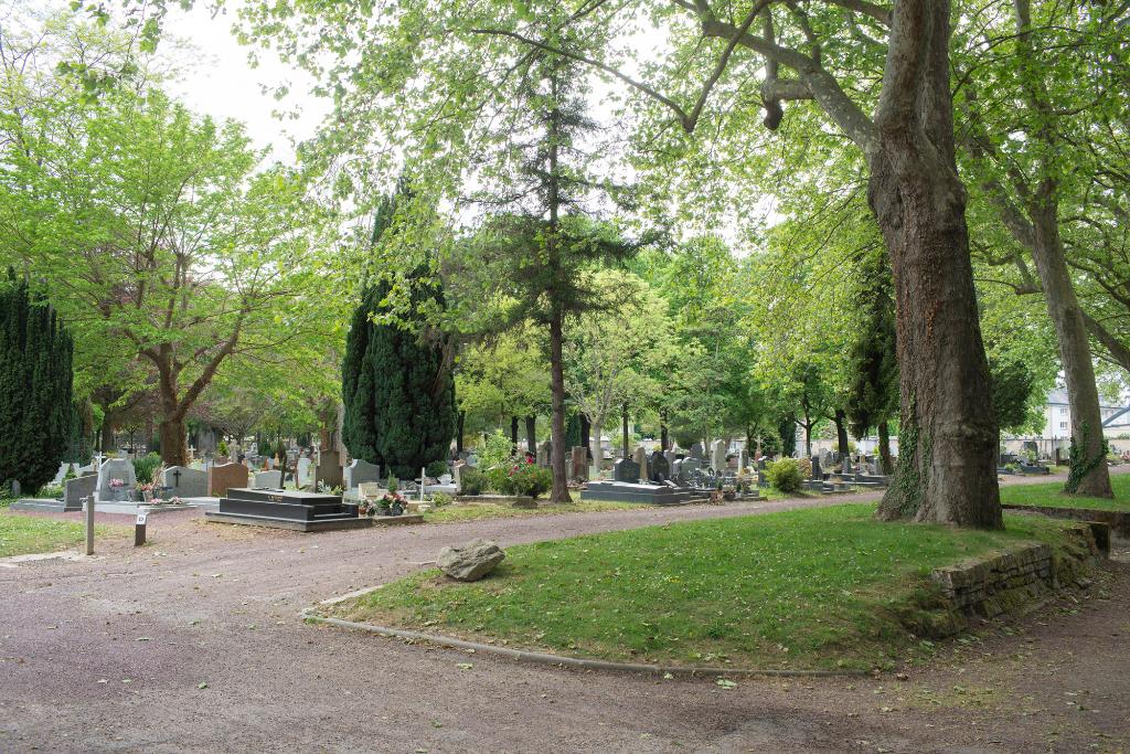 Angle du carré D et allée ouverte à l'emplacement de l'ancien mur de clôture nord. 