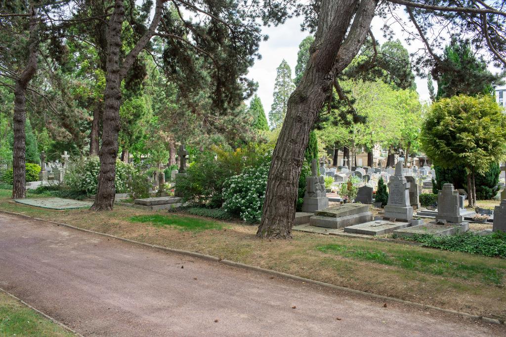 Ossuaire actuel (fosse dans laquelle les restes humains exhumés sont placés dans des boîtes individuelles), en bordure du carré A ; les emplacements, entre les autres arbres, des précédents ossuaires définitivement fermés, restent identifiables à la couleur de l'herbe. 