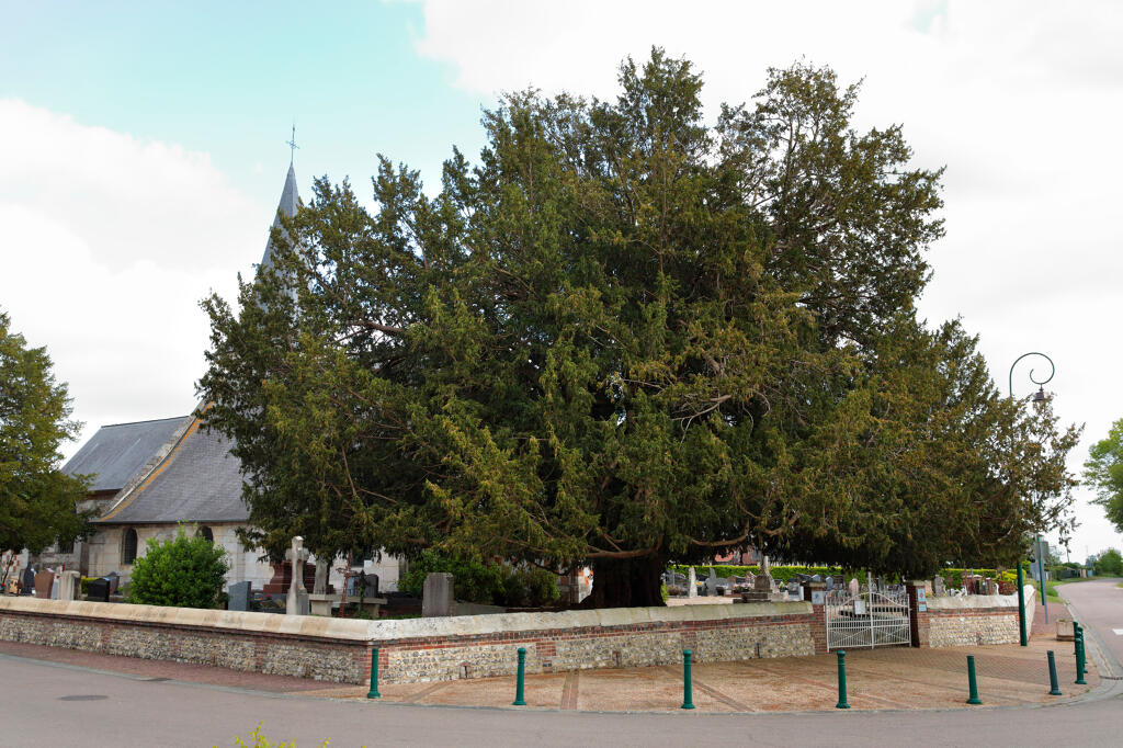 If au nord-ouest de l'enclos du cimetière.