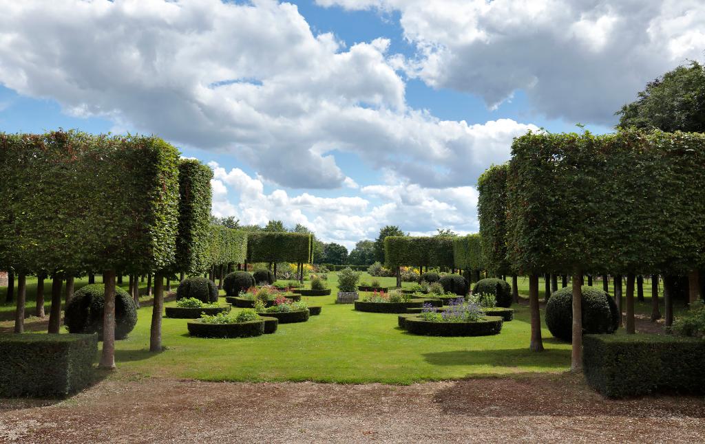 Bosquet et allées de tilleuls taillés à l'avant du château. 