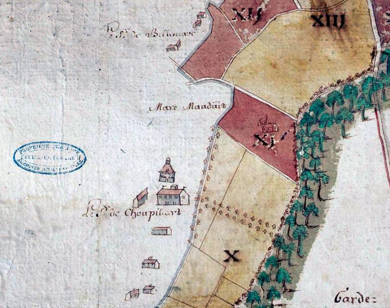 Extrait du plan de la forêt de Brotonne dressé par les moines de l'abbaye de Jumièges.- Plan manuscrit couleur, anonyme, 1671 (AD Seine-Maritime, 12 Fi 129).