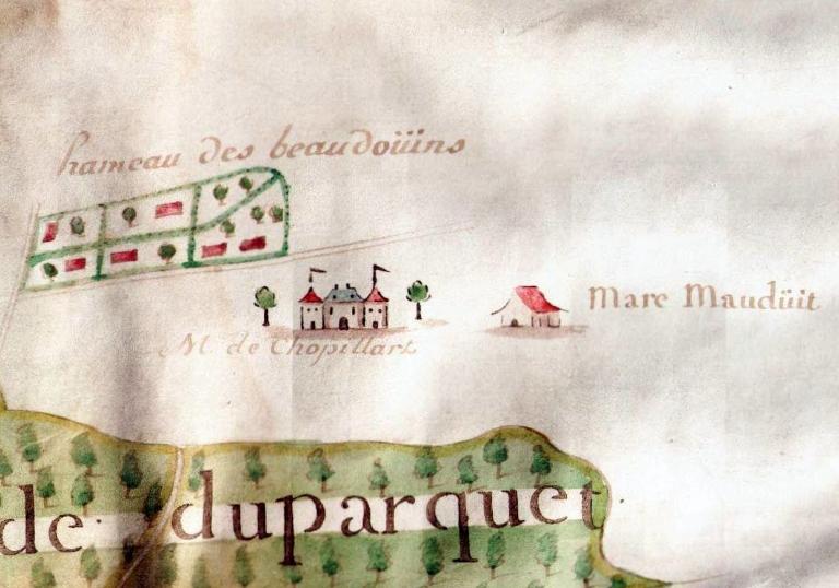 Extrait du plan de la forêt de Brotonne présenté à M. de Tourolles, receveur général des domaines et généralités de Rouen.- Plan manuscrit couleur, dessiné par J-B Filleul, 1757 (AD Seine-Maritime, 12 Fi 319).