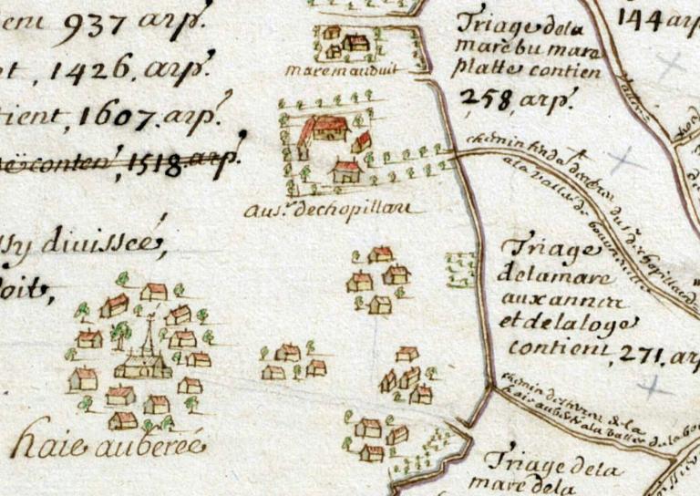 Extrait du plan de la forêt de Brotonne.- Plan manuscrit couleur, anonyme, 167.-168. (BNF).
