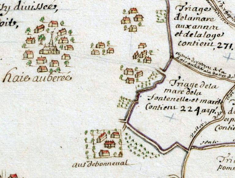 Extrait du plan de la forêt de Brotonne.- Plan manuscrit couleur, anonyme, 167.-168. (BNF).