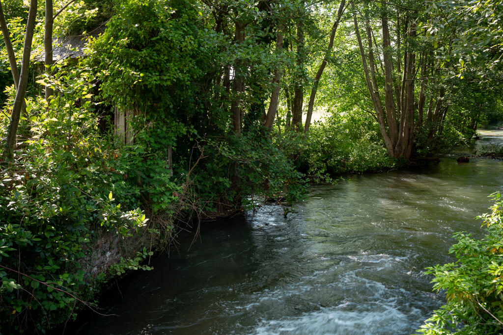 Canal de fuite.