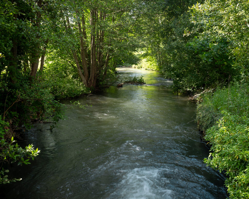 Canal de fuite.