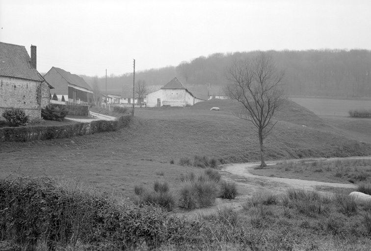 Motte, vue générale.