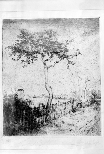 Estampe : Arbre