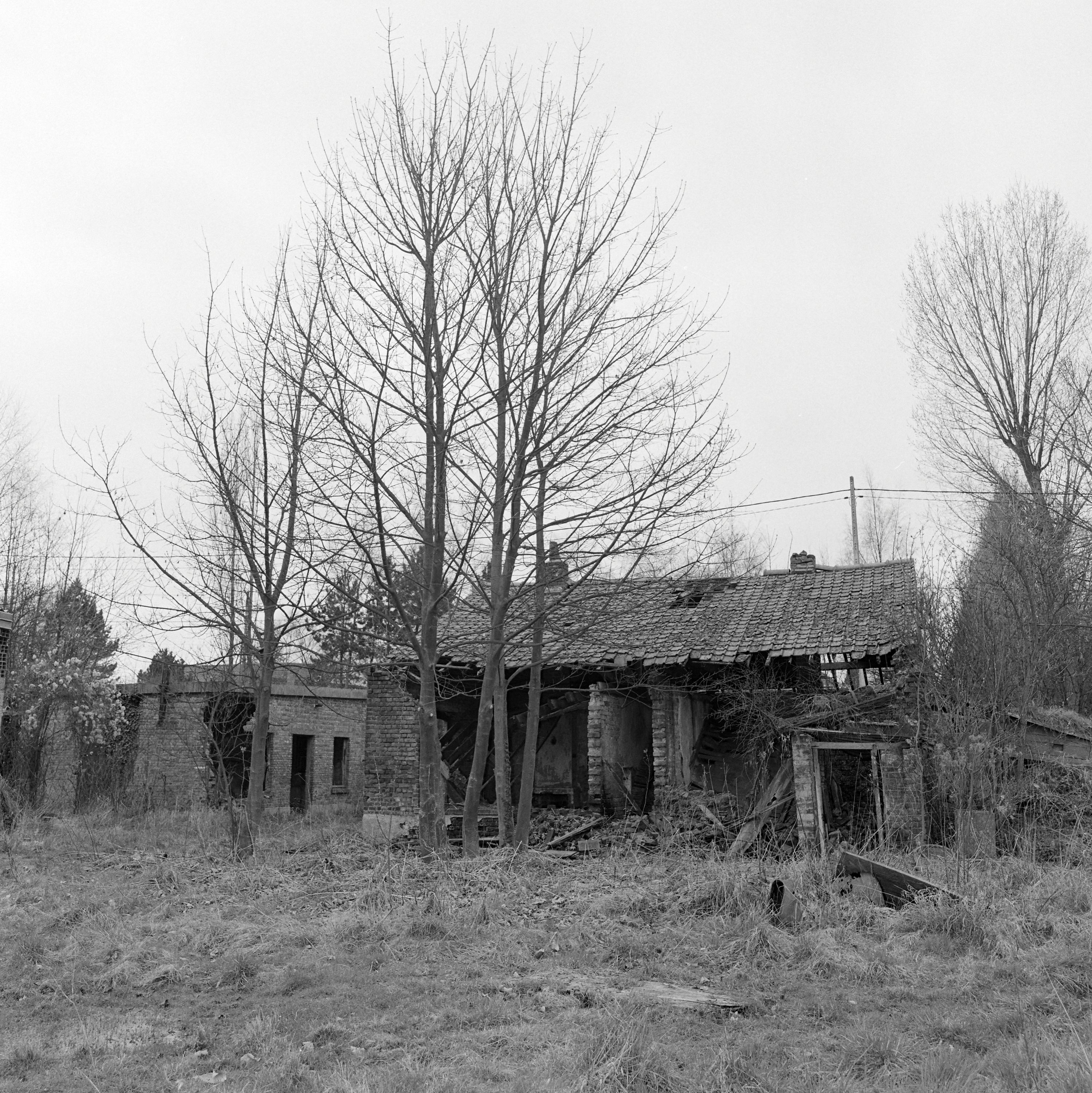 Vestiges des bureaux. Élévation postérieure.