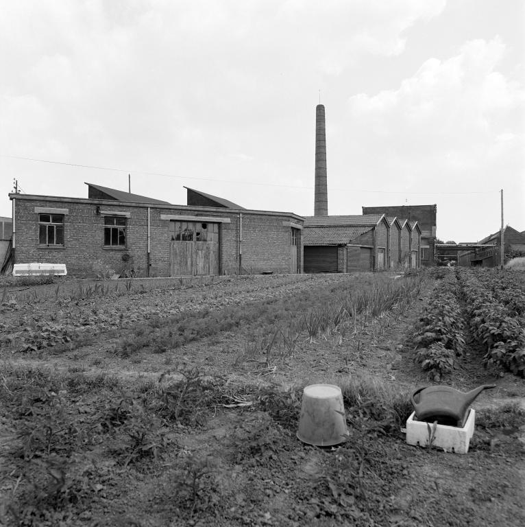 Vue générale vers le sud, prise depuis les jardins ouvriers. De gauche à droite : hangar aux bois, menuiserie, chaufferie, cheminée et salle des machines.