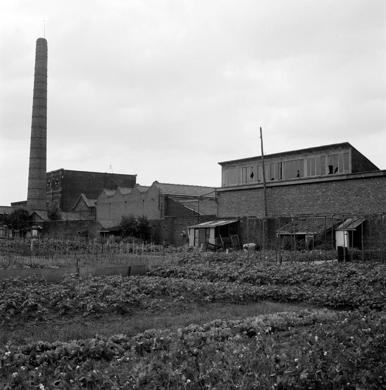 Vue générale vers le sud depuis les jardins ouvriers. À droite la menuiserie, à gauche la salle des machines.