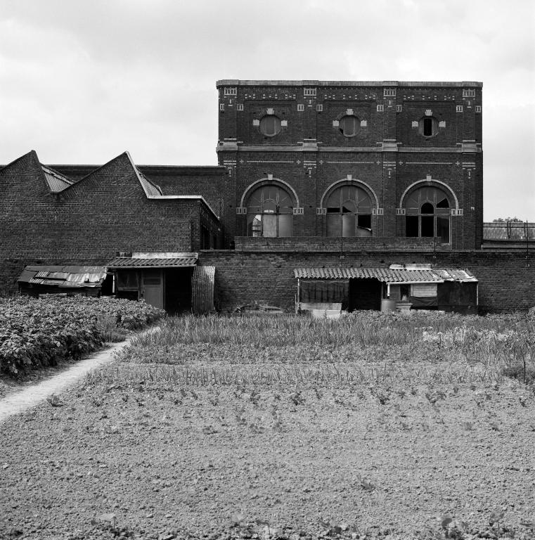 Vue générale depuis les jardins ouvriers, vers le sud-est. La salle des machines, élévation ouest.